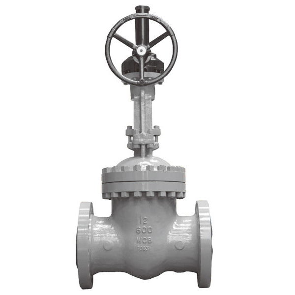 Cast Steel Gate Valve