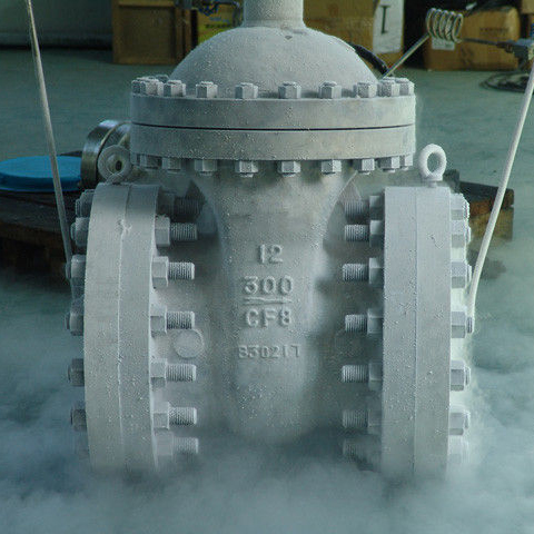 Croygenic Gate Valve